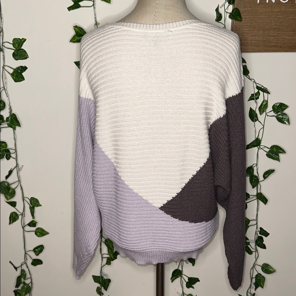 Express Color Block Sweater - Picture 2 of 4
